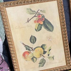 Vintage Botanical Fruit Prints in Gold Frames -pair